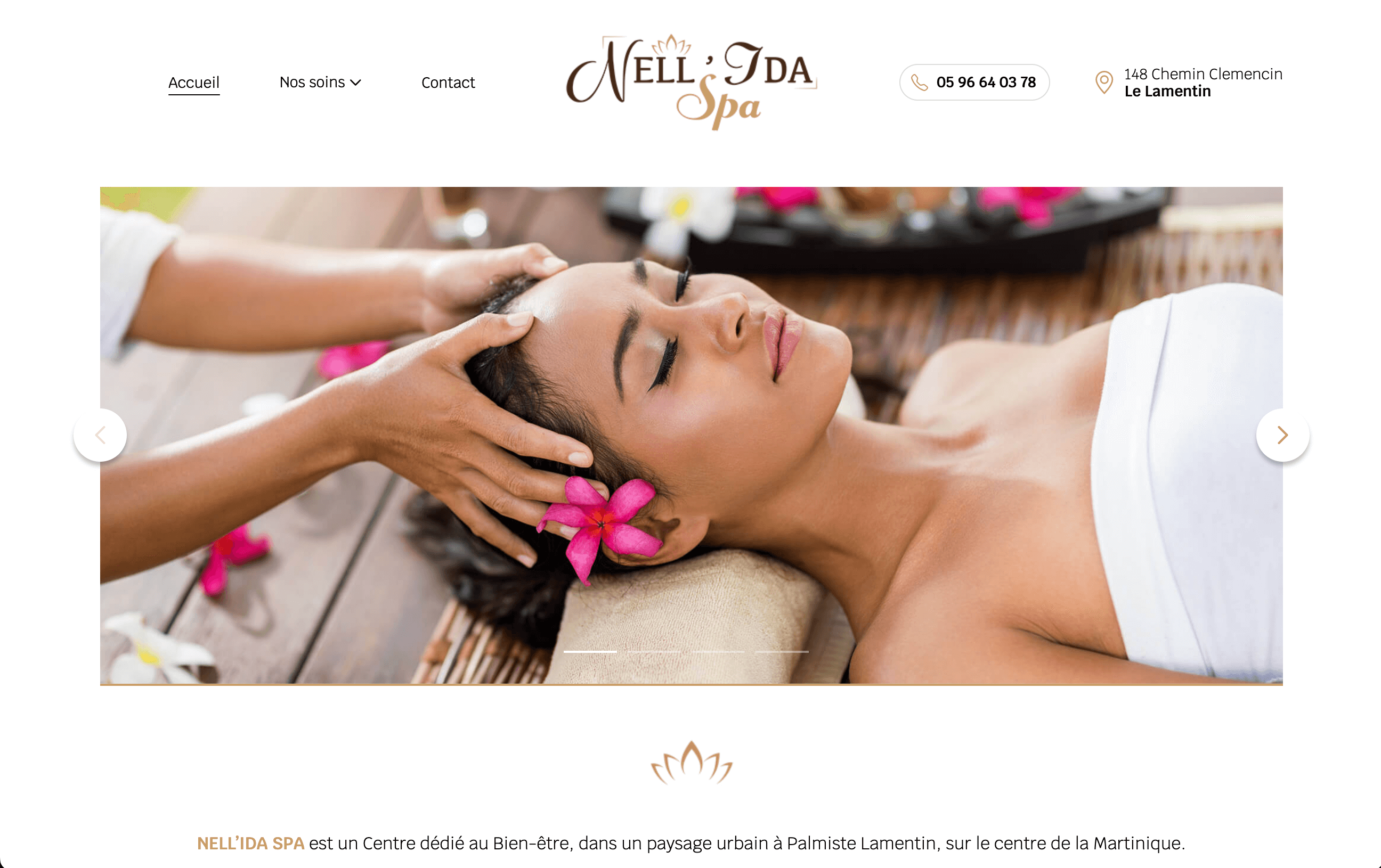 Site internet pour Pixell